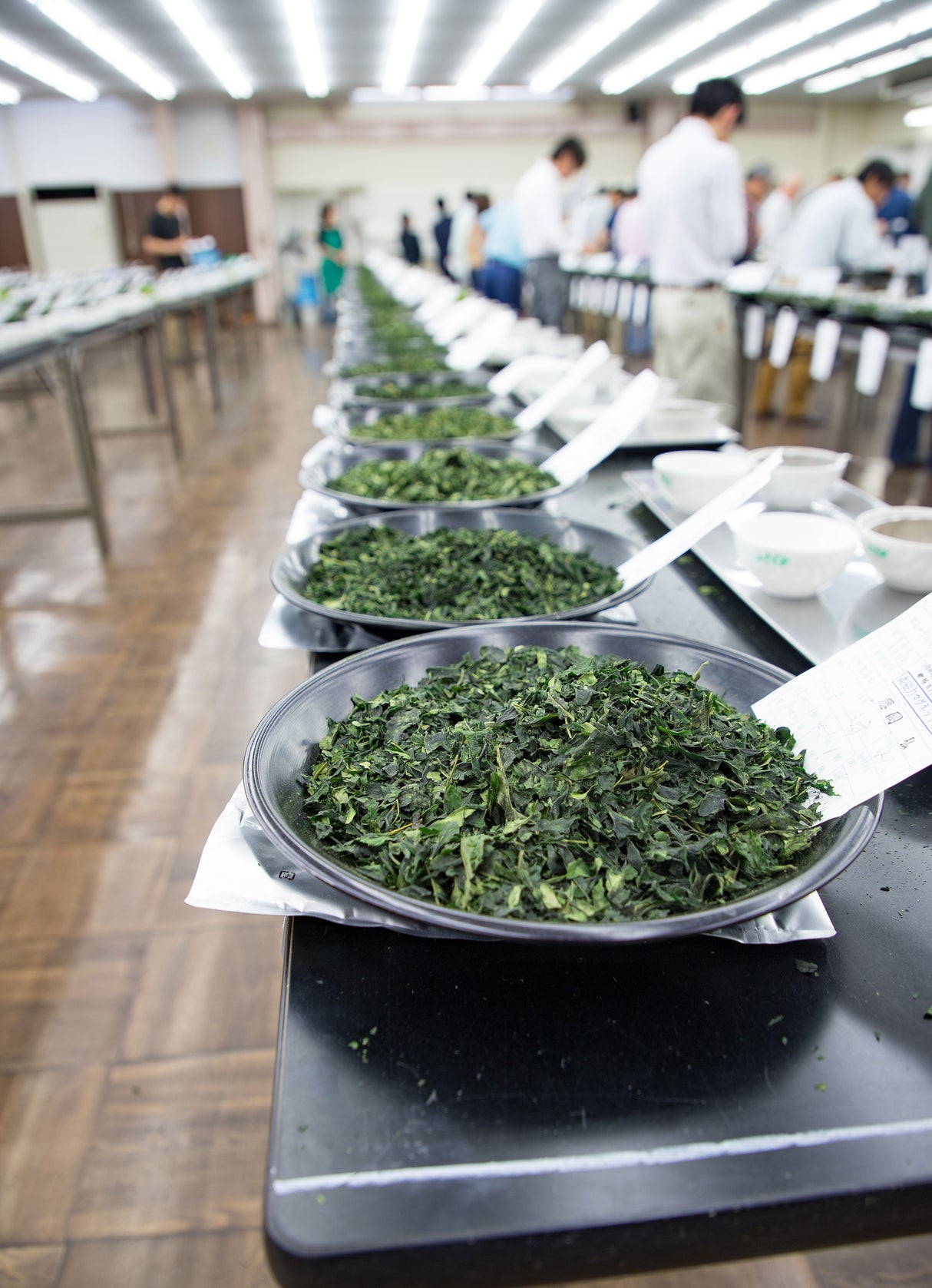 Introduction to Matcha Class feat. Tenzo