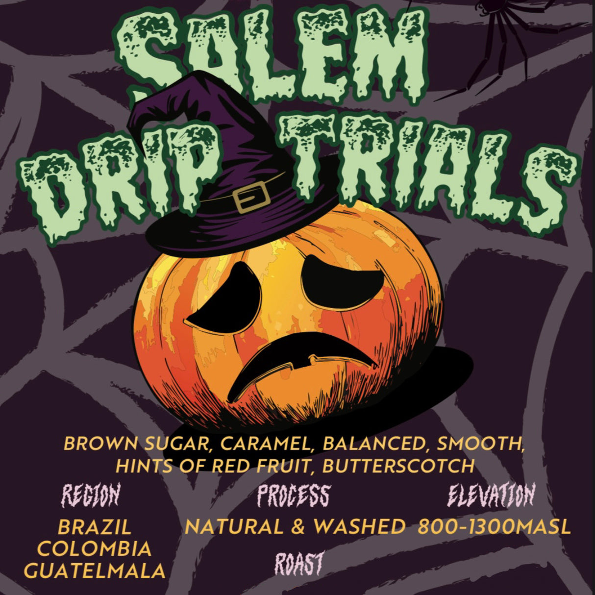 Salem Drip Trials