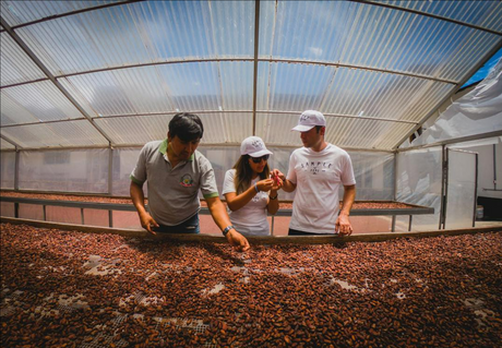 Coffee Farmers and Consumers: A Sustainable Partnership